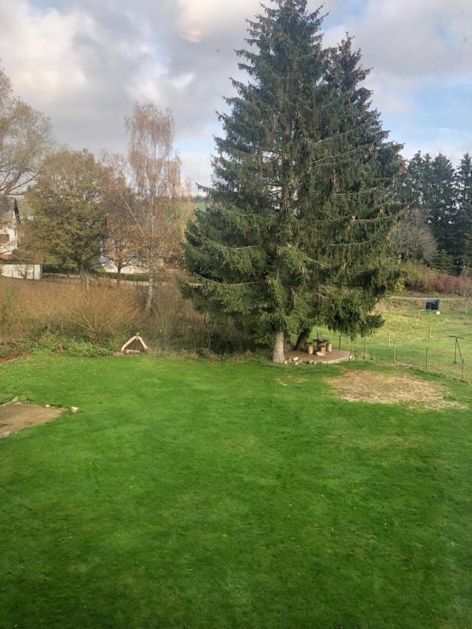Haus Schneider Kaetchen Villa Deudesfeld Buitenkant foto